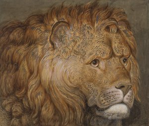 Wilhelm Tischbein, Kopf eines Löwen, o. J.,